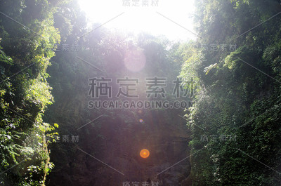 自然背景