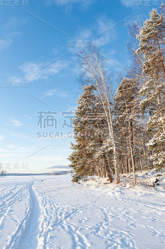 冰冻的湖面和白雪覆盖的森林