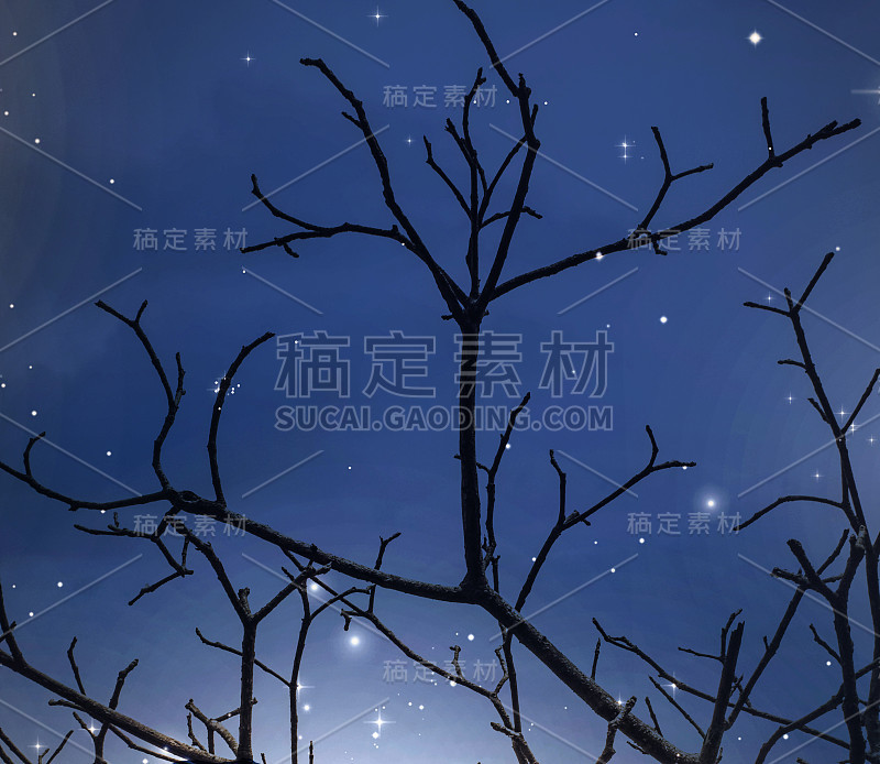 死树的星空背景