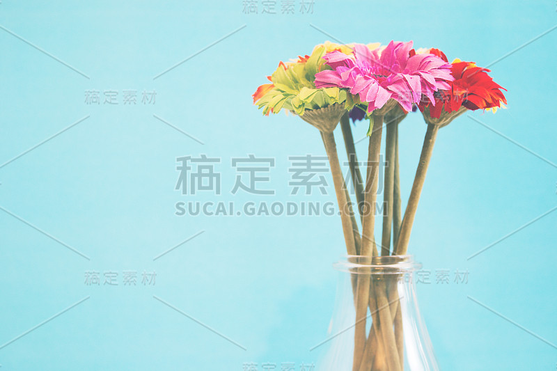 蓝色背景的花