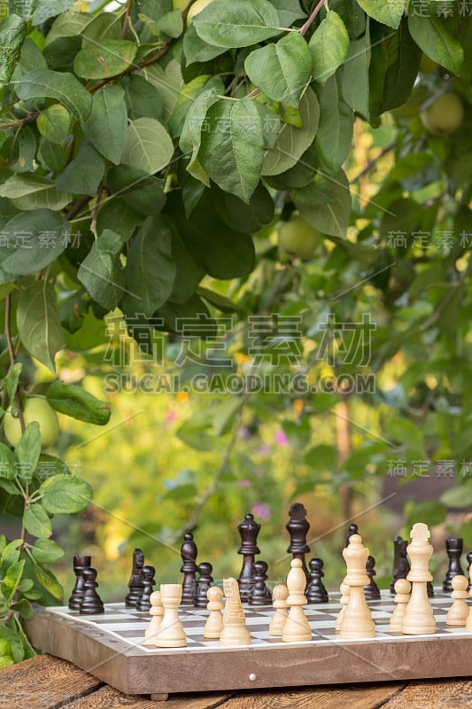 棋盘与棋子在木桌上，以苹果树枝和绿叶为背景。