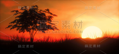 温暖的日落与树的全景