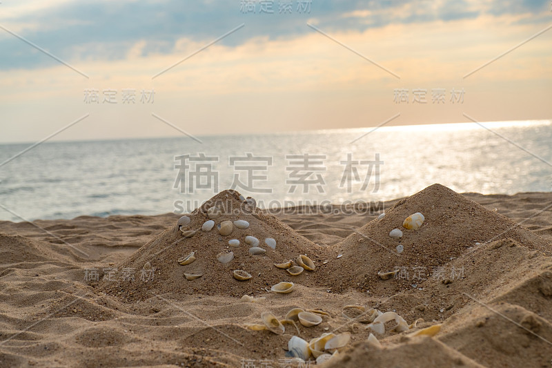 小沙堡海滩装饰用贝类以海为背景