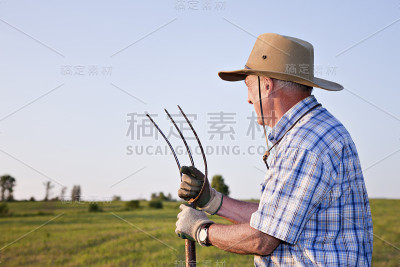老农民看着他的田地