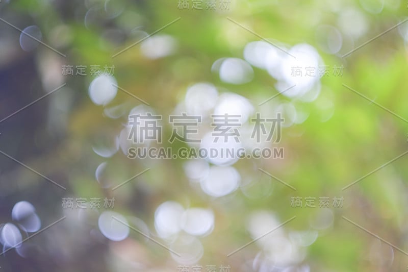 阳光明媚的抽象绿色自然背景，以散景光模糊公园、自然、花园、春夏季节