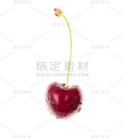 白色背景上的一颗樱桃
