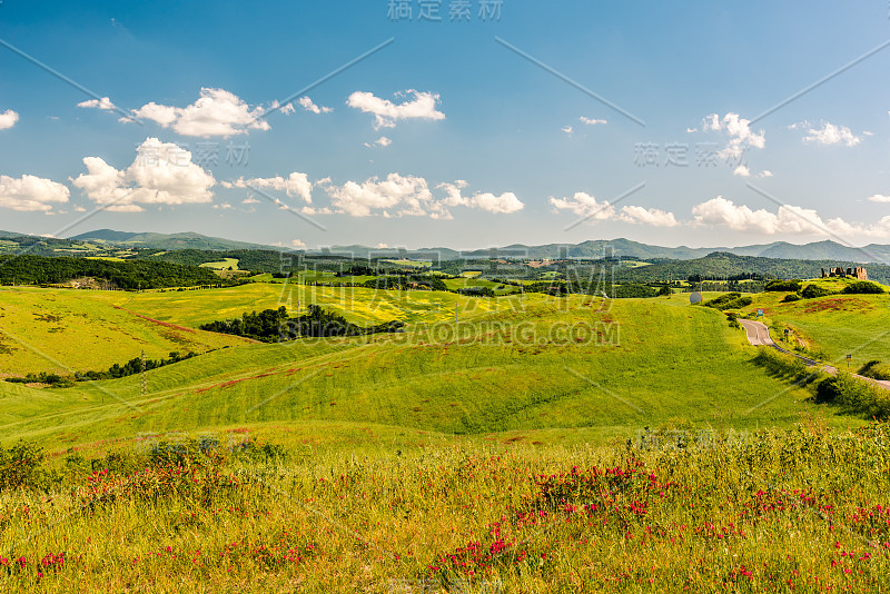 夏天的托斯卡纳乡村