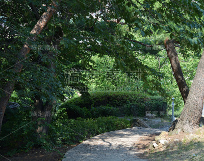 阳光的山路
