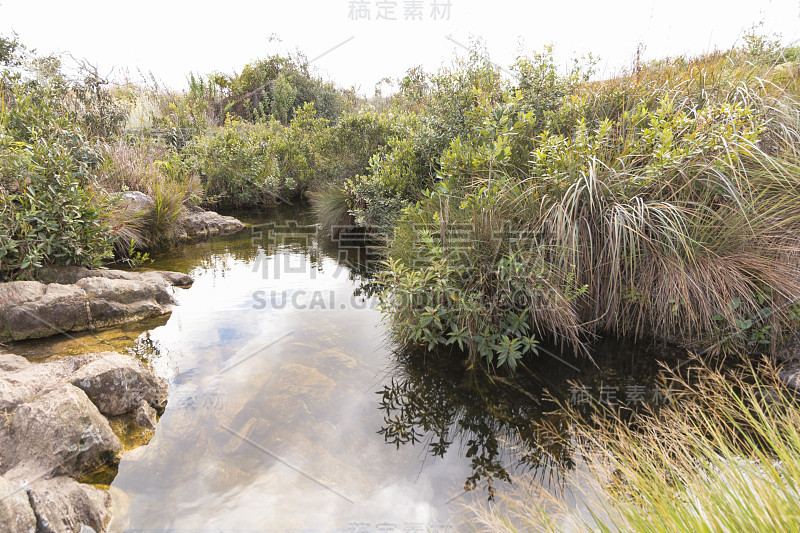 Serra da Canastra，米纳斯吉拉斯州，巴西