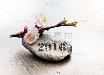 健康2016