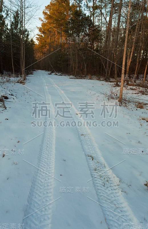 北卡罗莱纳州冬季暴风雪后的小路