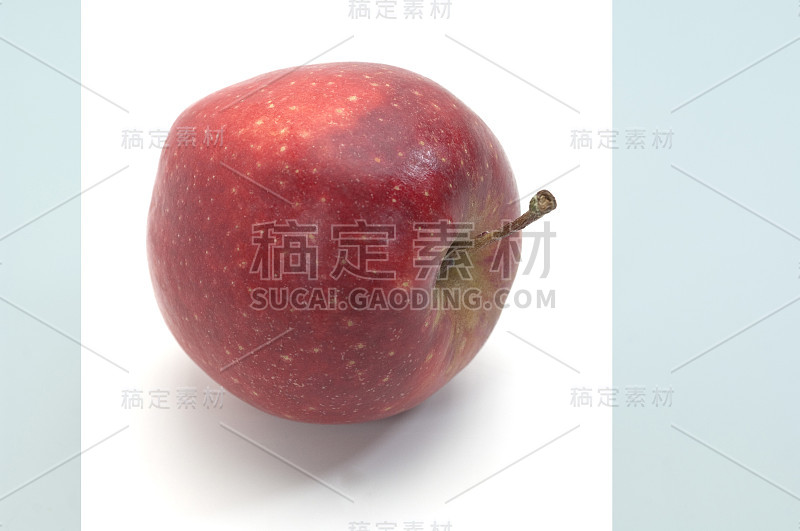 王子，苹果，Malus