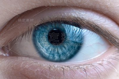 近距离的蓝色女人眼睛微距镜头。看着摄像机。
