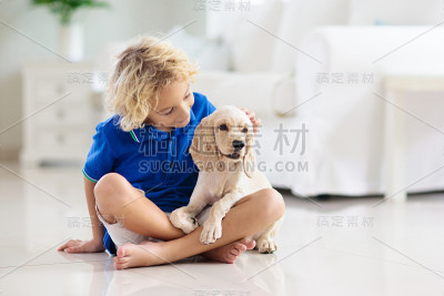 孩子和狗玩。孩子们和小狗玩。