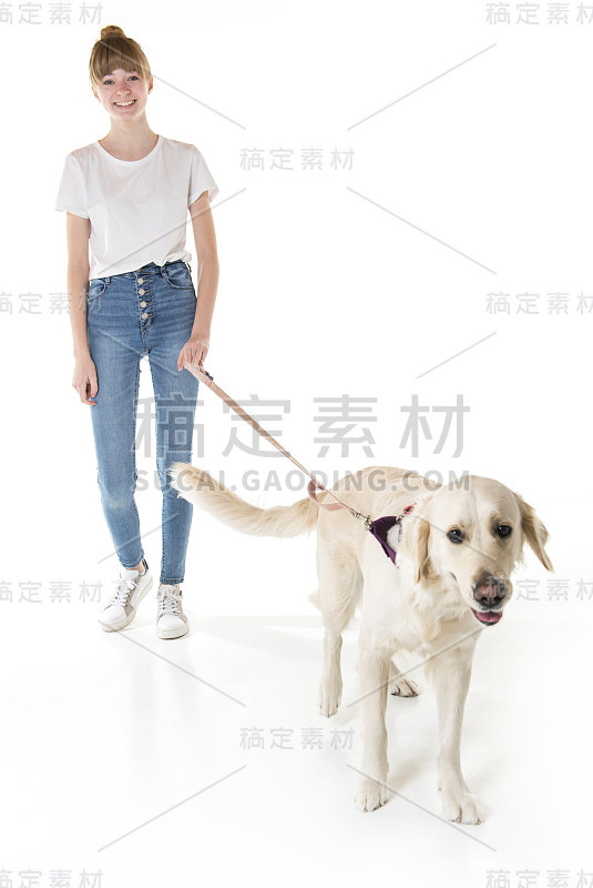 漂亮的少女和她美丽的金毛猎犬在白色的背景