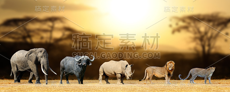 五大游戏