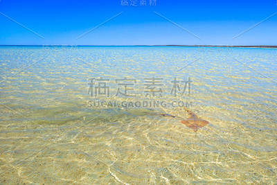贝壳滩鲨鱼湾