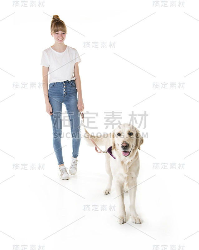 漂亮的少女和她美丽的金毛猎犬在白色的背景