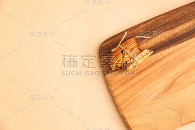 饼干