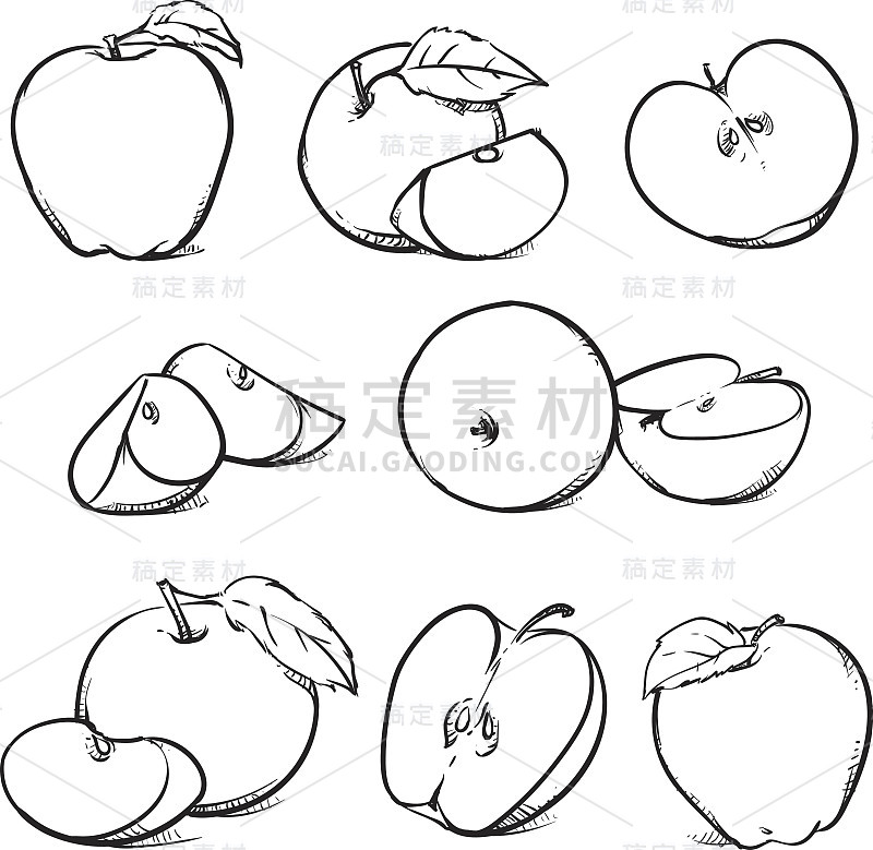 白色背景上有叶子和薄片的苹果。手绘素描风格水果套。矢量插图。