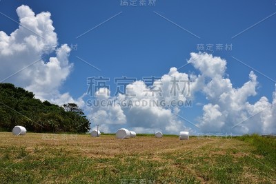 夏天的乡村农场