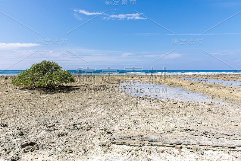 潮起潮落