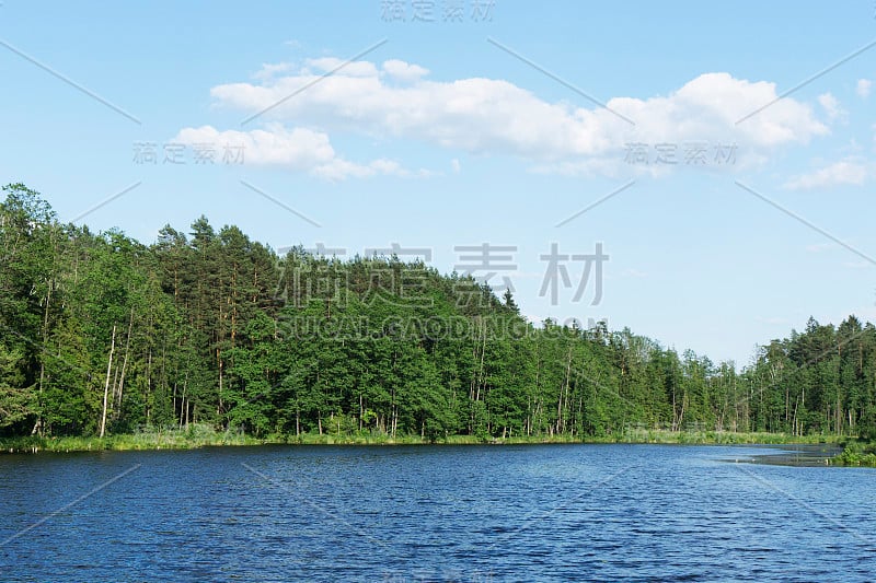 森林中的小池塘。湖景观背景。河水风景。