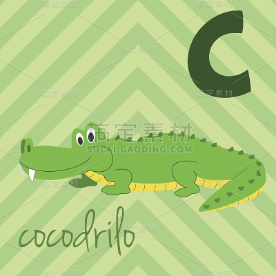 卡通动物园字母表与动物。西班牙名字:C，代表Cocodrilo