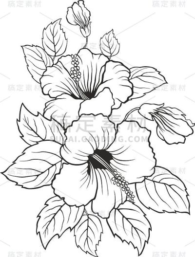 盛开的百合花。百合花剪影的请帖。