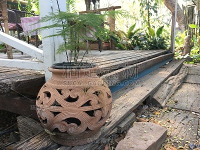 花园里的小盆