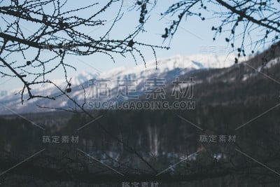 山里的夜晚