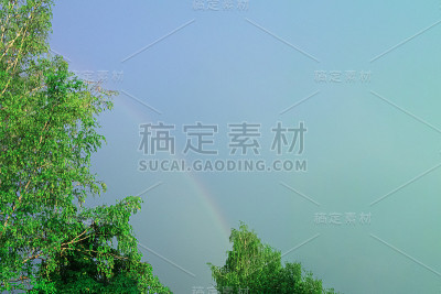 美丽的彩虹越过树顶。