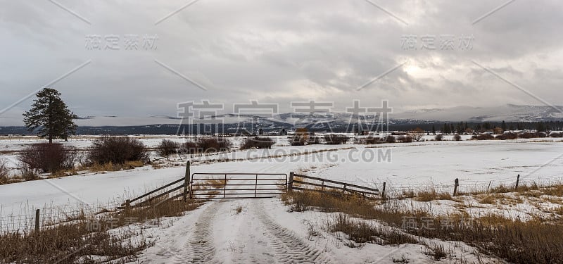 牧场宅基地的全景，广阔的牧场覆盖在雪和雾笼罩的山脉在阴天