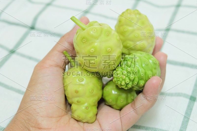 手握诺丽或巴戟天水果