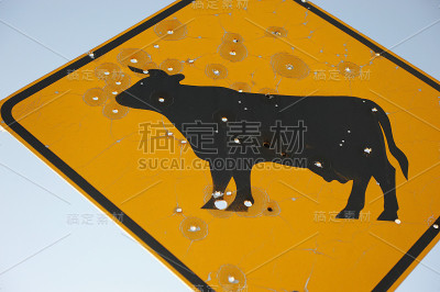 有弹孔的牛过马路标志