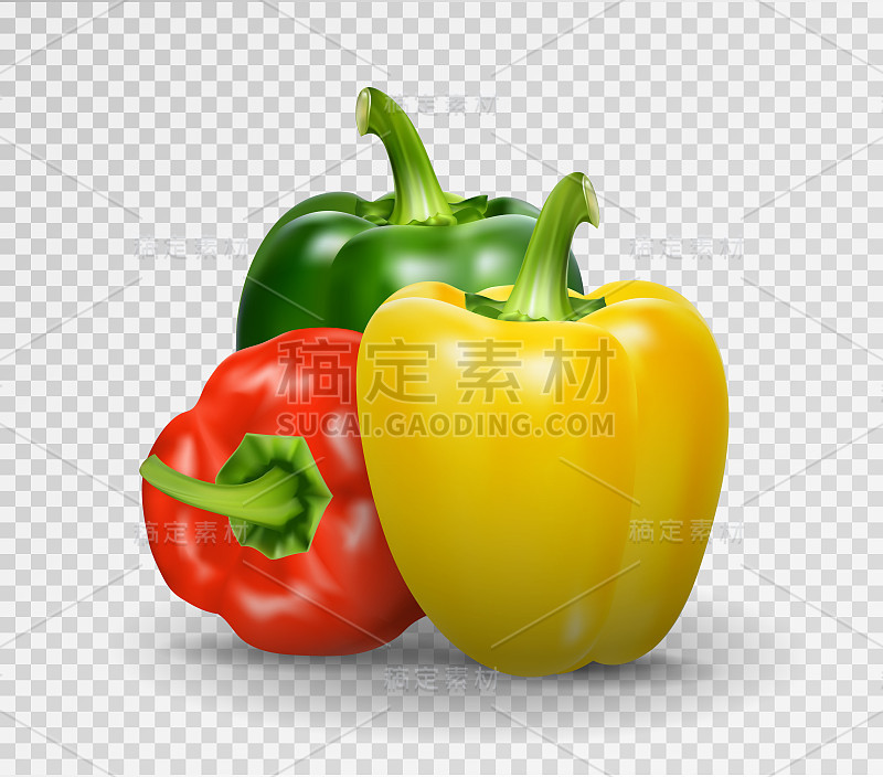 一组三个辣椒。黄色，红色和绿色的辣椒。辣椒的现实矢量插图