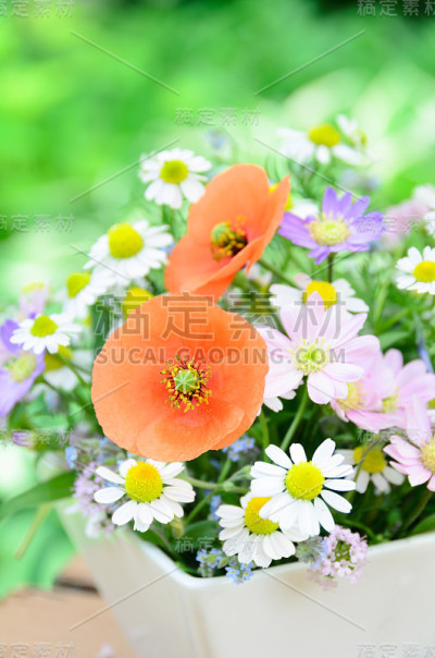 罂粟和花园的花