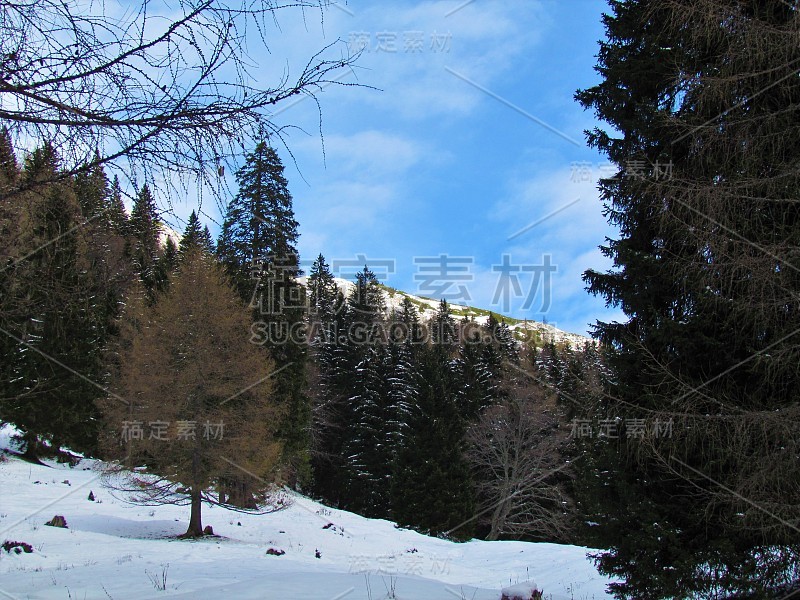 高山草甸，Korosica牧场