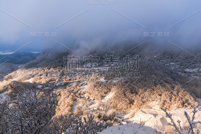 冬天的风景