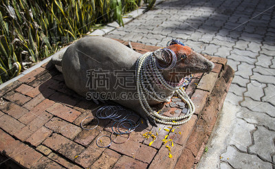 老鼠的雕像