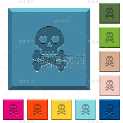 骷髅头，在镶边的方形按钮上刻有骨头图标