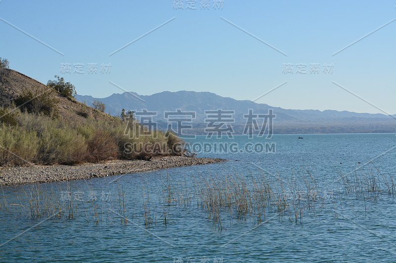美国亚利桑那州莫哈维县哈瓦苏湖扶轮社区公园的遮荫树冠及棕榈树下的烧烤及野餐桌