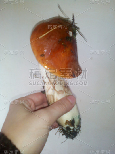 各种烹饪和静物的食物