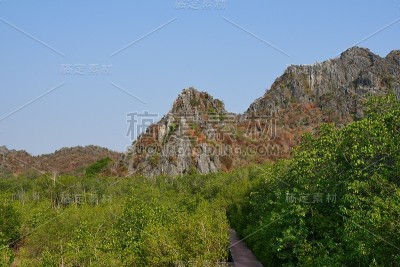 石灰岩山上有红色的木桥和绿色的红树林灌木