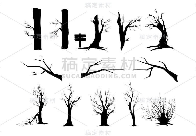 树木和灌木的轮廓孤立在白色的背景上