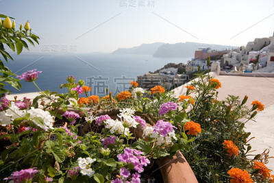 伊和鲜花