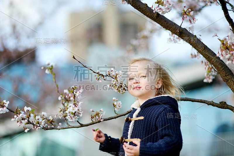 可爱的小女孩在盛开的樱桃花园里