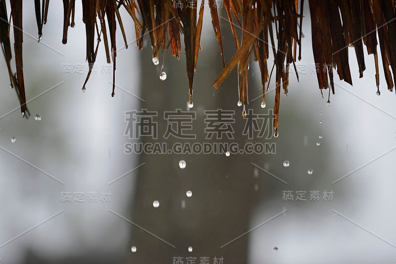 边下着雨