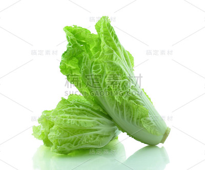 莴苣。