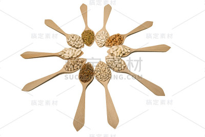不同种类的豆科植物